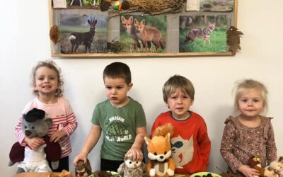 Jak sobie radzą zwierzęta, które spędzają zimę w Polsce?